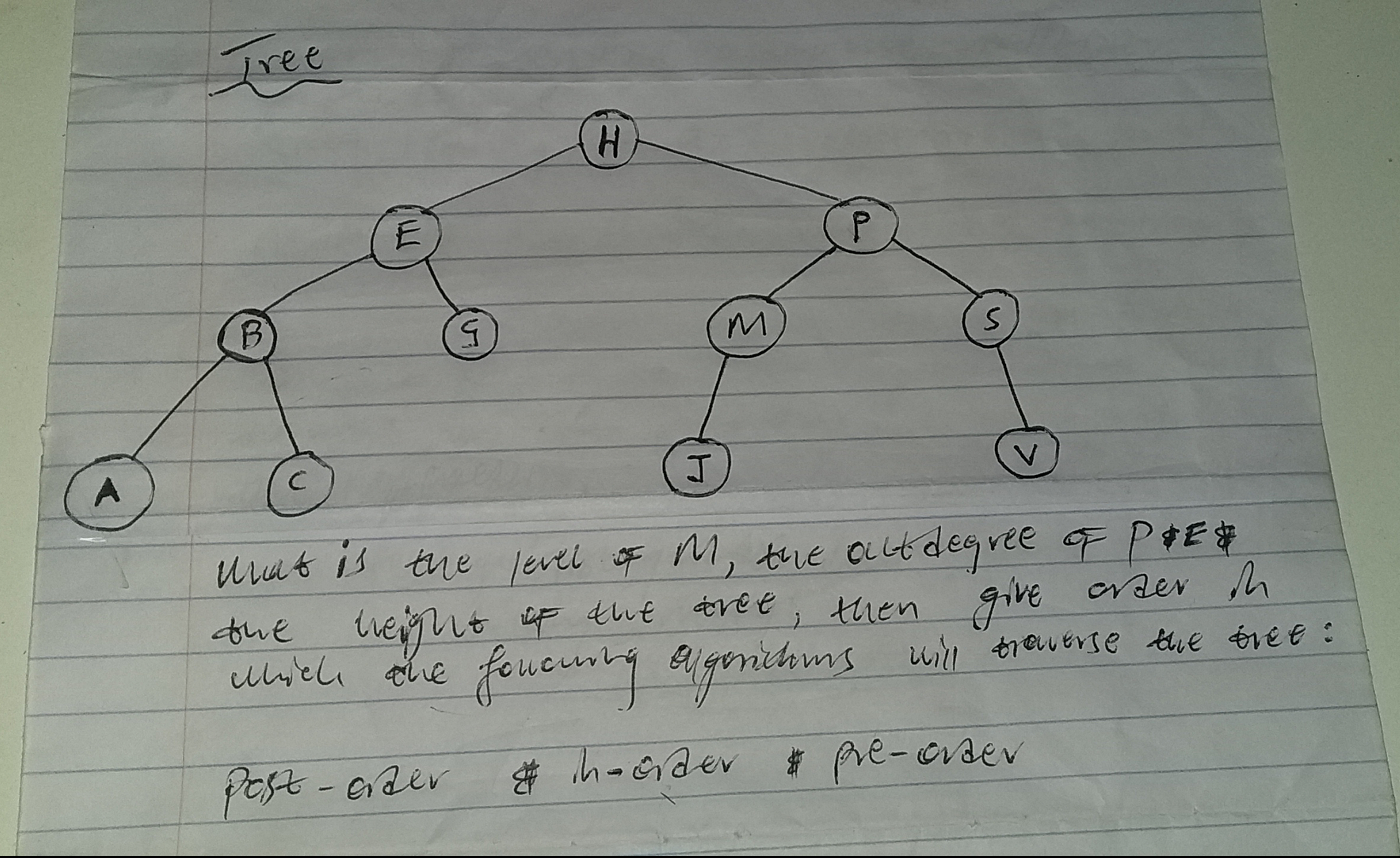 what is the level of M , the outdegree of P and E