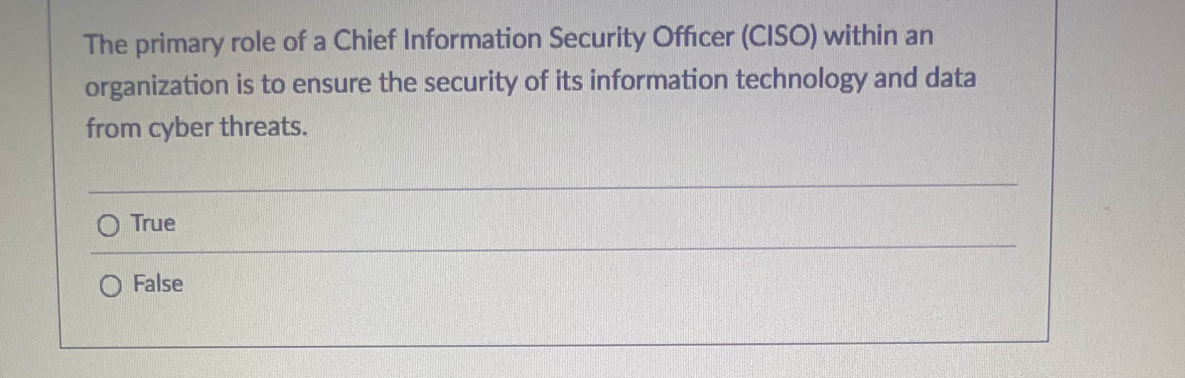 The primary role of a Chief Information Security