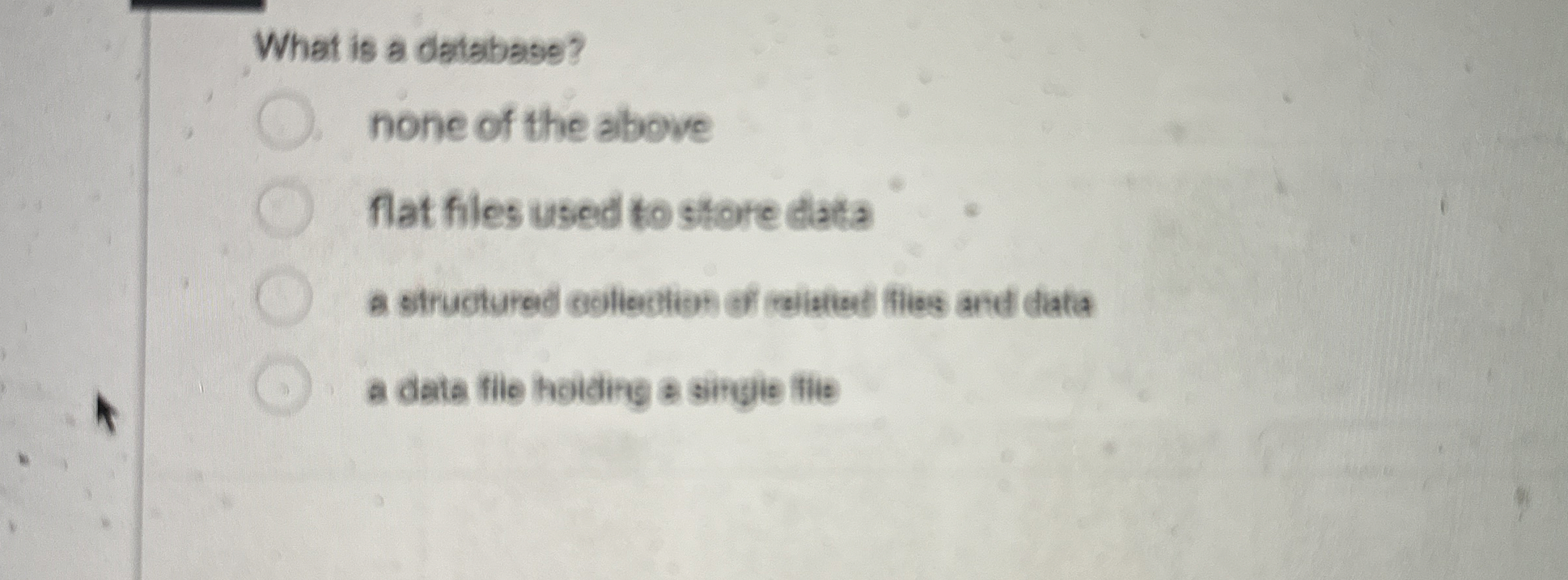 What is a database? none of the above flat files