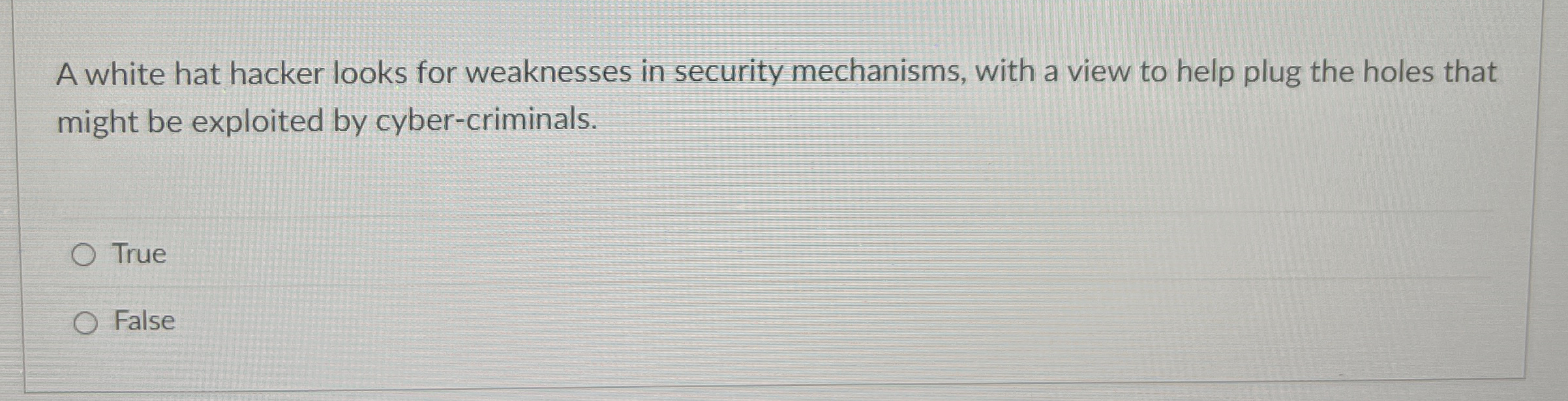 A white hat hacker looks for weaknesses in