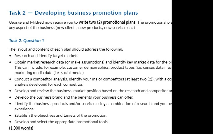 Task 2 - Developing business promotion plans