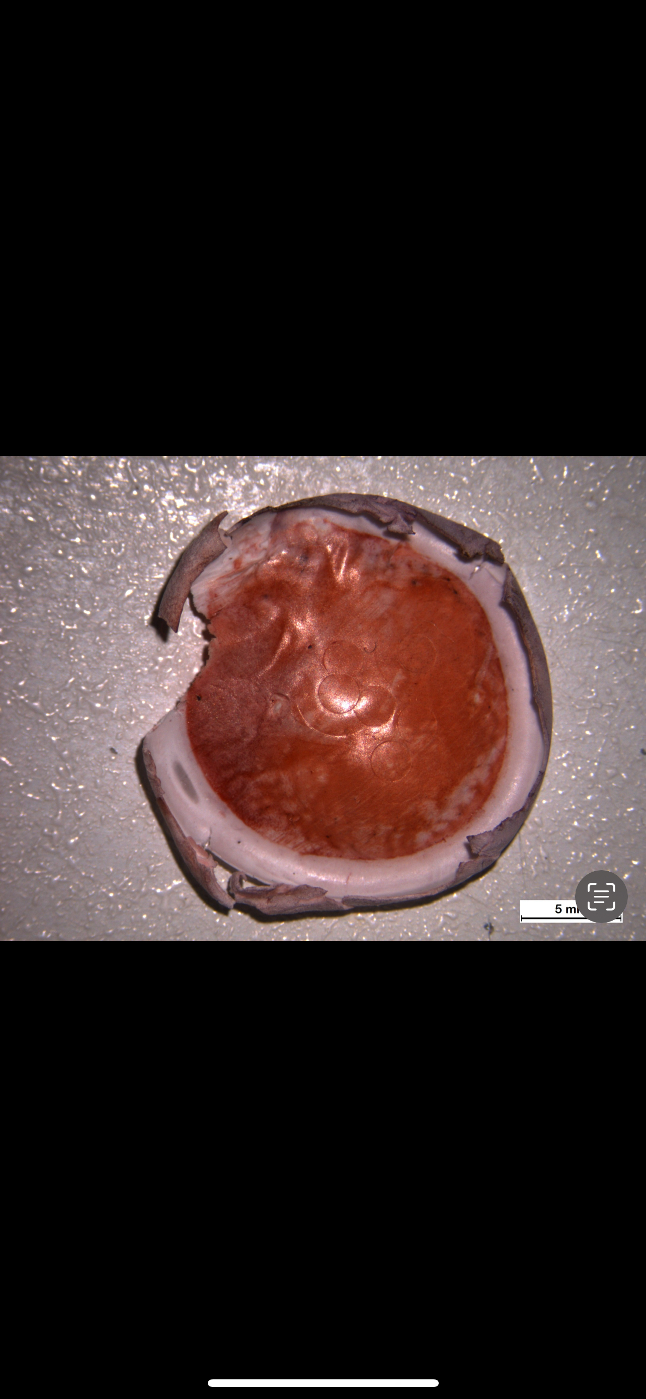 At this point, we have covered both how to create