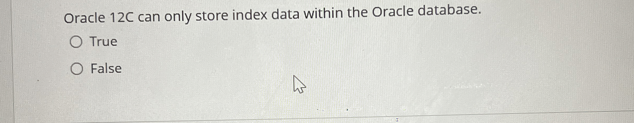 Oracle 1 2 C can only store index data within the
