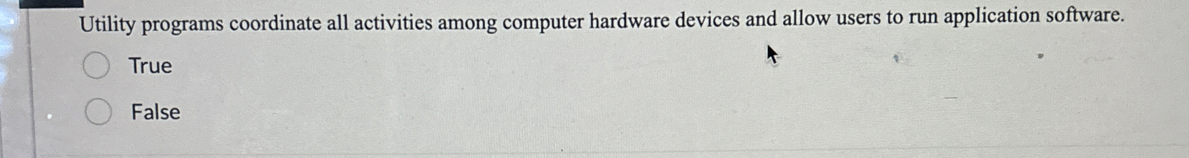 Utility programs coordinate all activities among