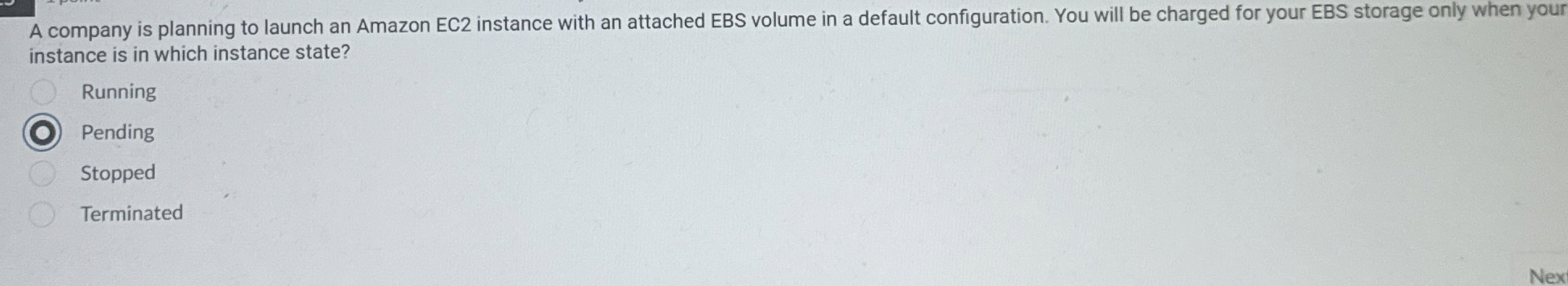 A company is planning to launch an Amazon EC 2