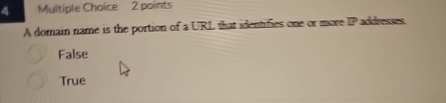 4 Multiple Choice 2 points A domain name is the