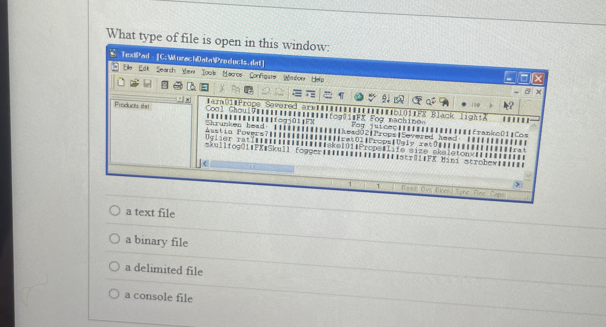 What type of file is open in this window: a text