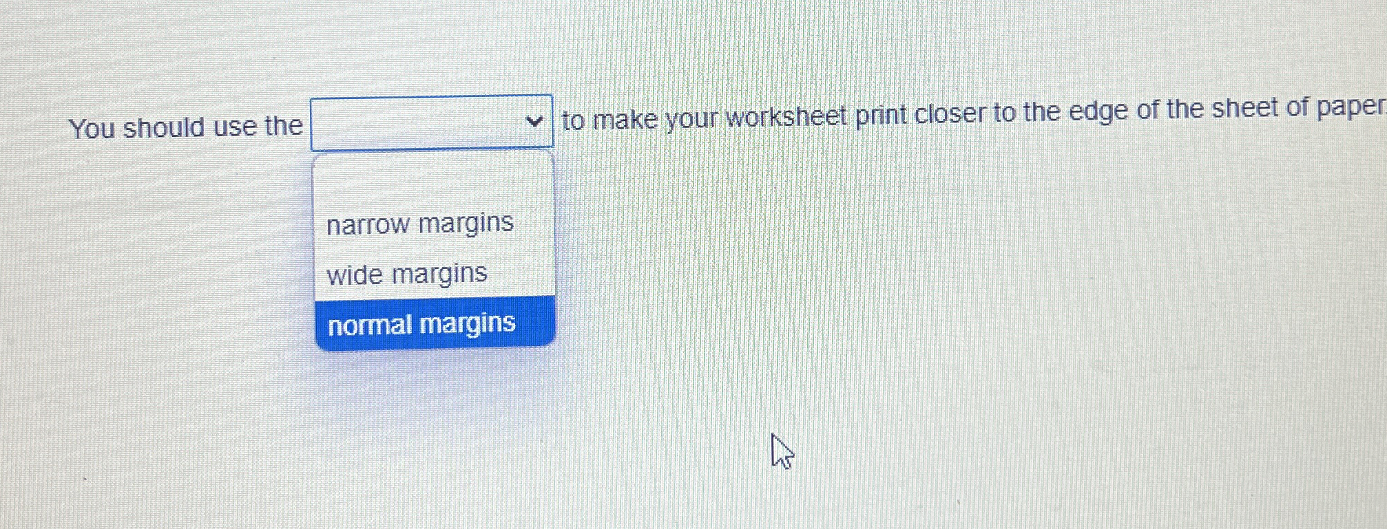 You should use the to make your worksheet print