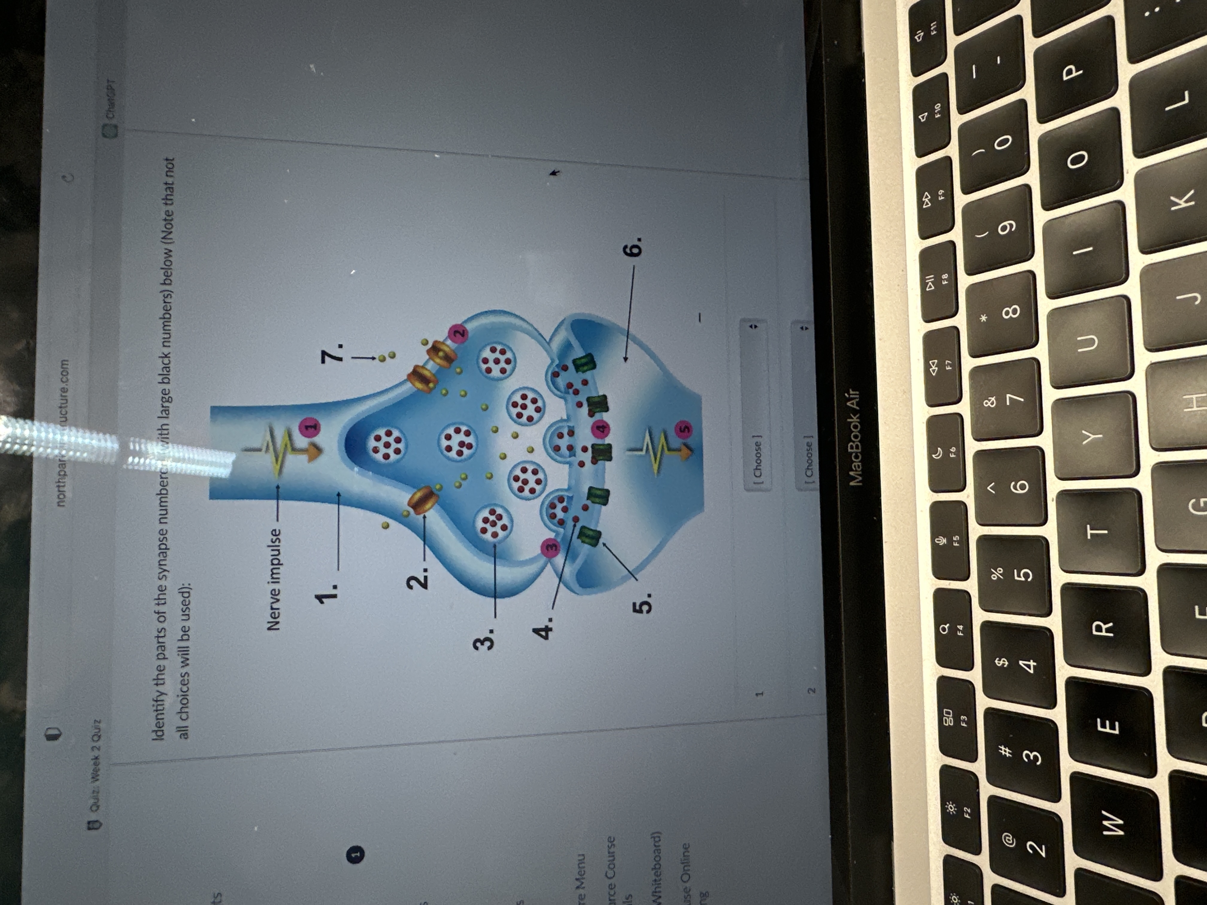 northparsi fucture.com Quiz: Week 2 Quiz Identify