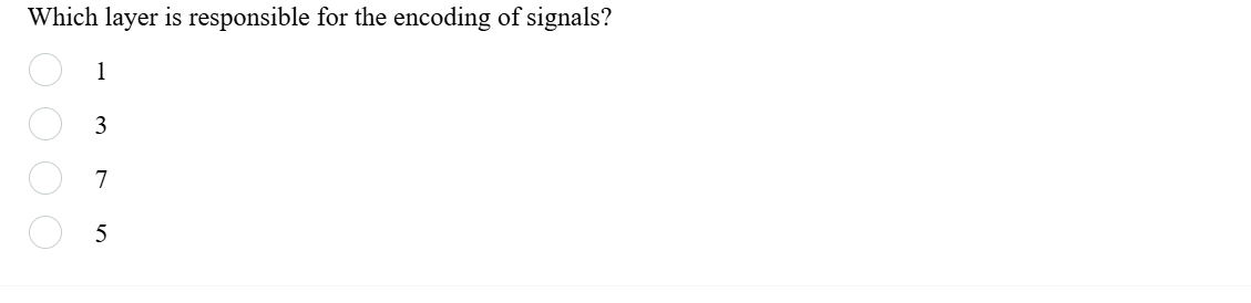 Which layer is responsible for the encoding of