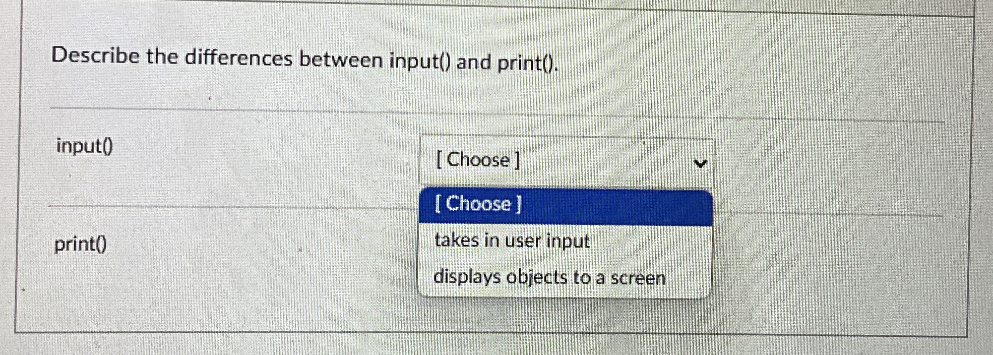 Describe the differences between input ( ) and