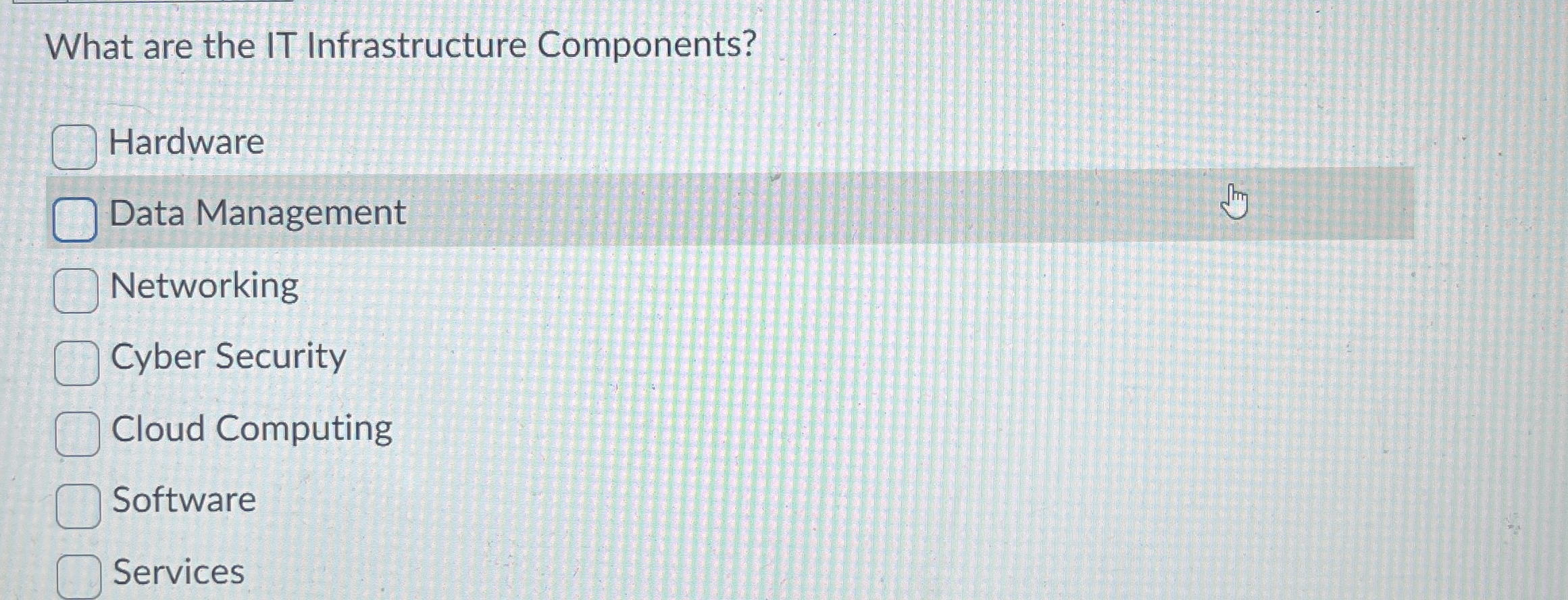 What are the IT Infrastructure Components?