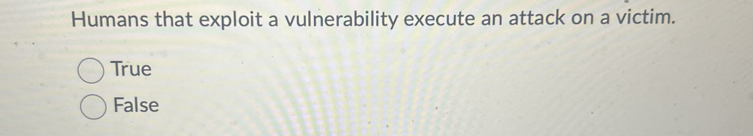 Humans that exploit a vulnerability execute an