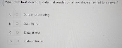 What term best describes data that resides on a