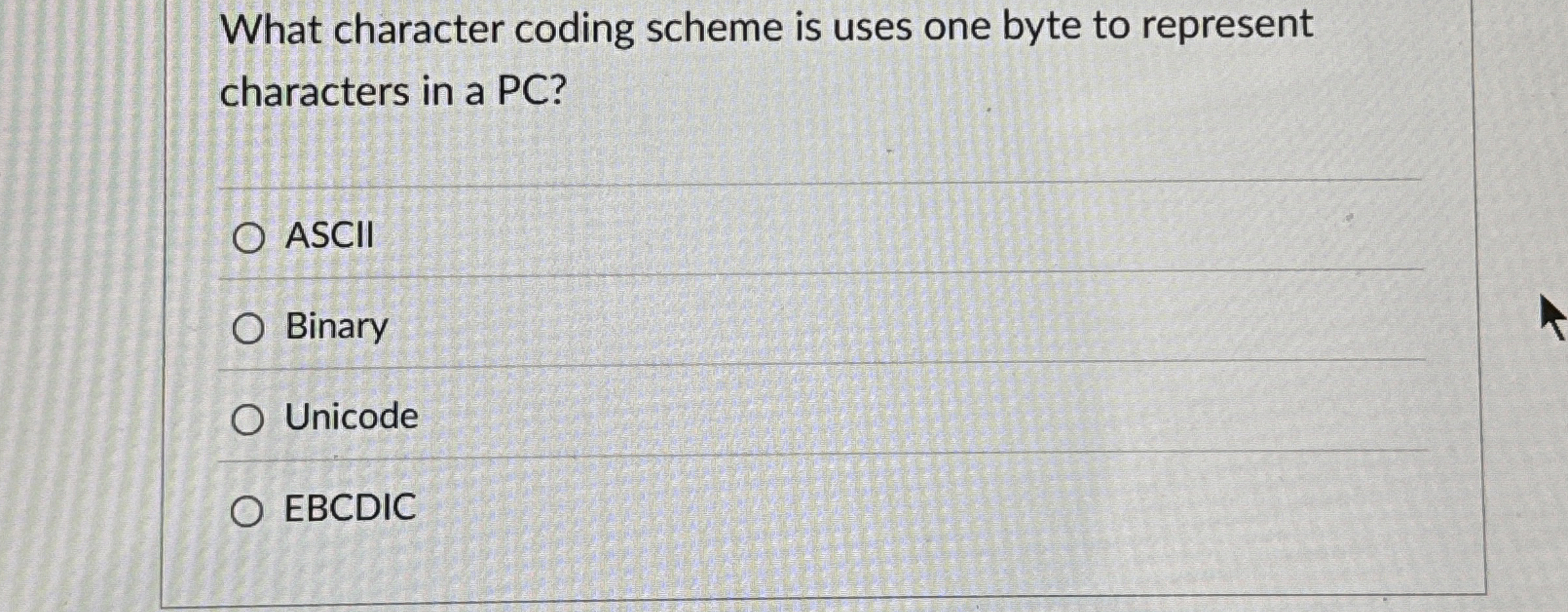 What character coding scheme is uses one byte to