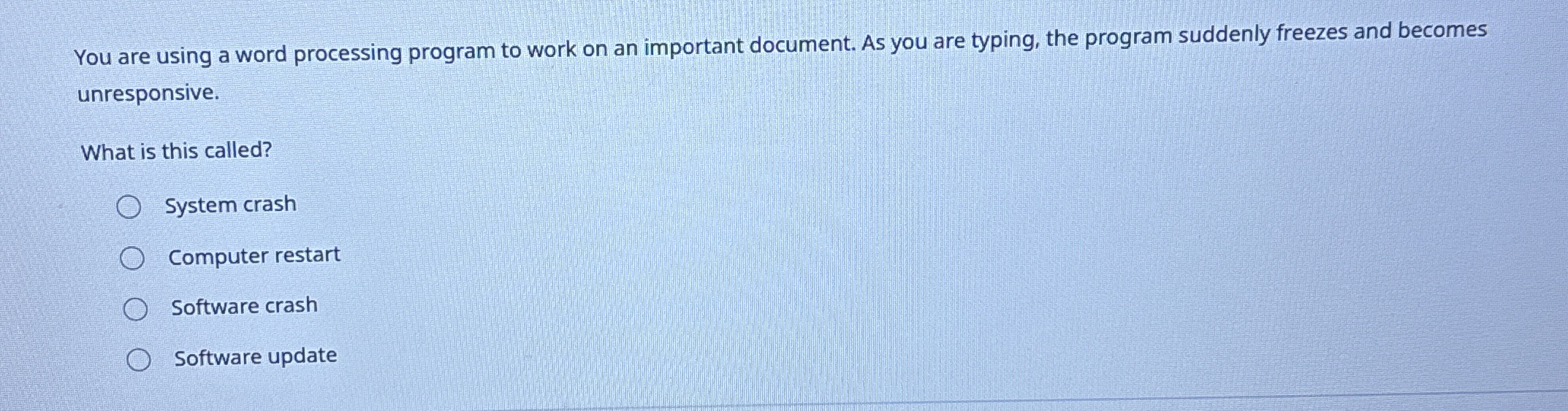 You are using a word processing program to work