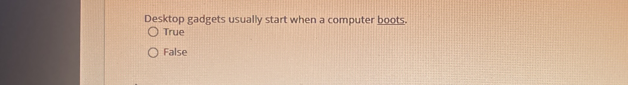 Desktop gadgets usually start when a computer