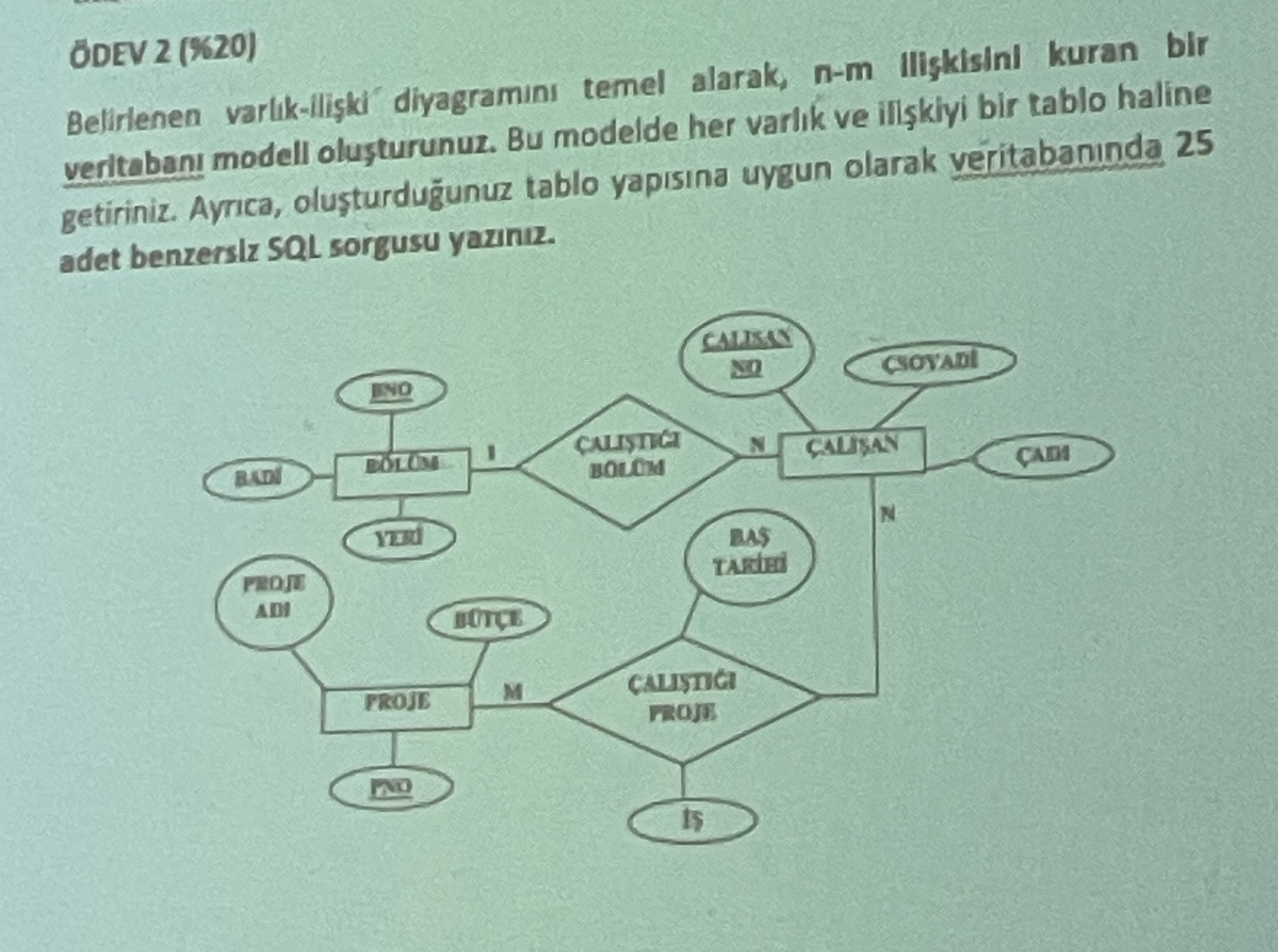 ODEV 2 ( % 2 0 ) Belirienen vartik - li ki