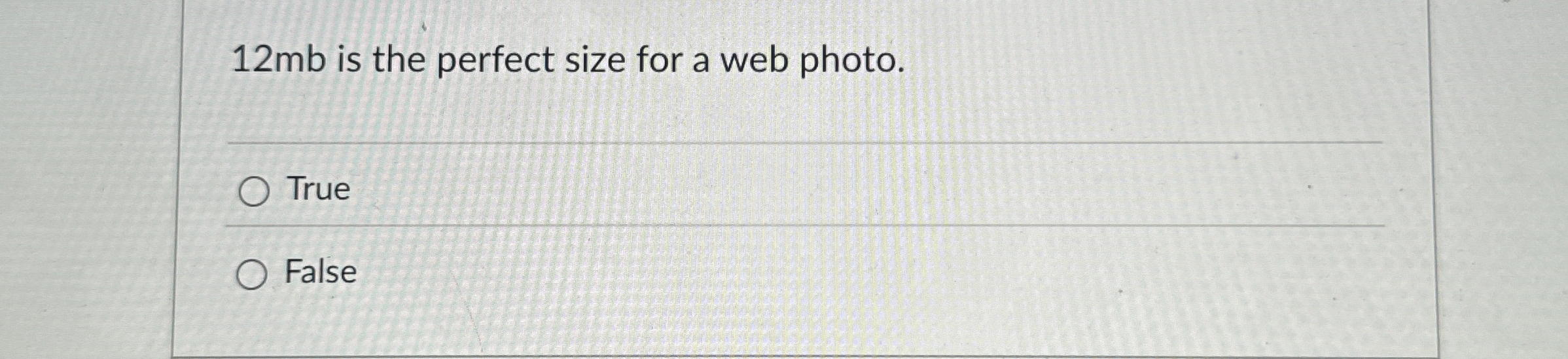 1 2 mb is the perfect size for a web photo. True