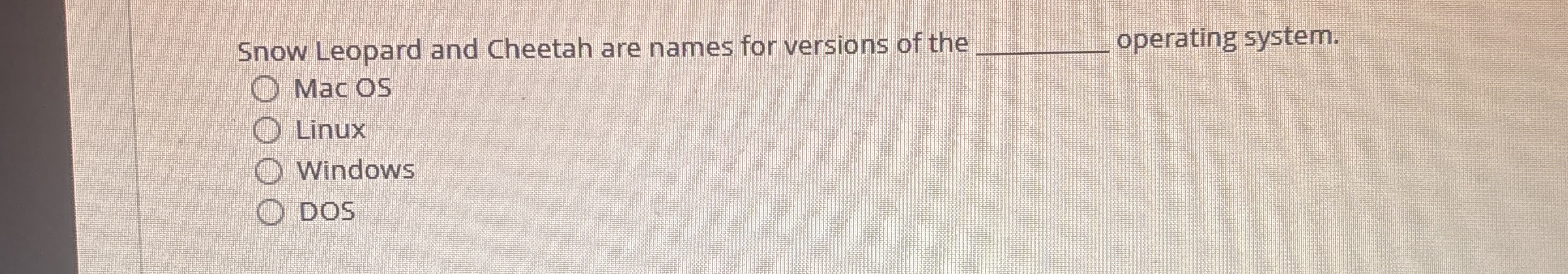 Snow Leopard and Cheetah are names for versions