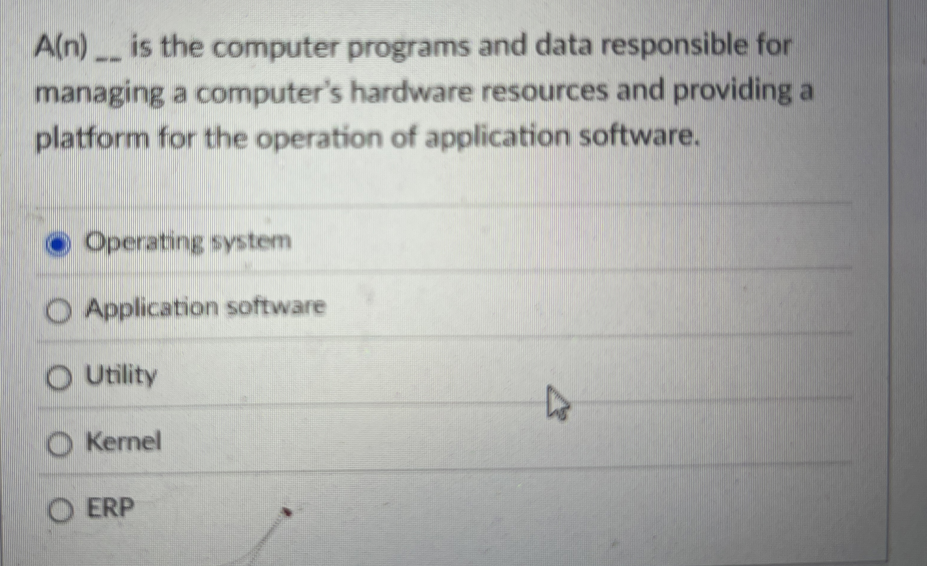 A ( n ) _ _ is the computer programs and data