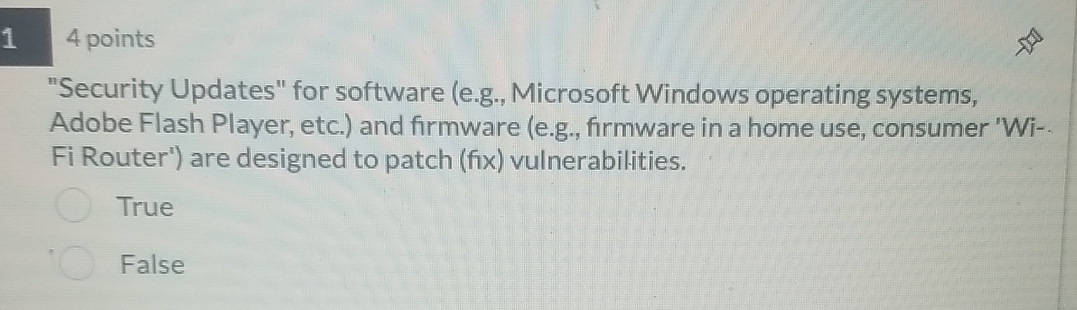 1 4 points "Security Updates" for software ( e .