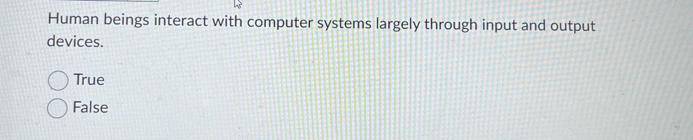 Human beings interact with computer systems