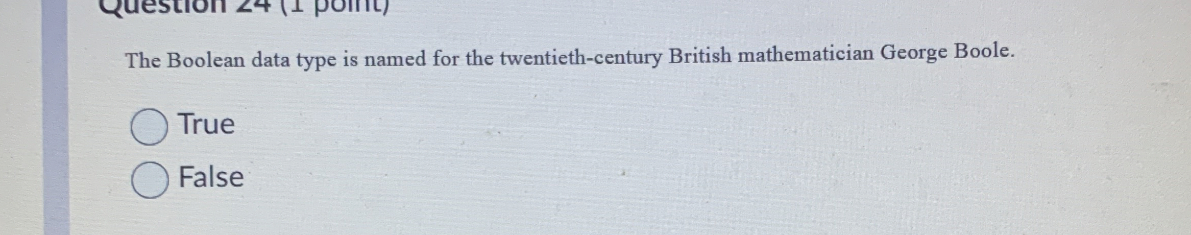The Boolean data type is named for the twentieth