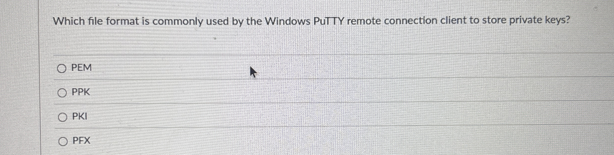 Which file format is commonly used by the Windows