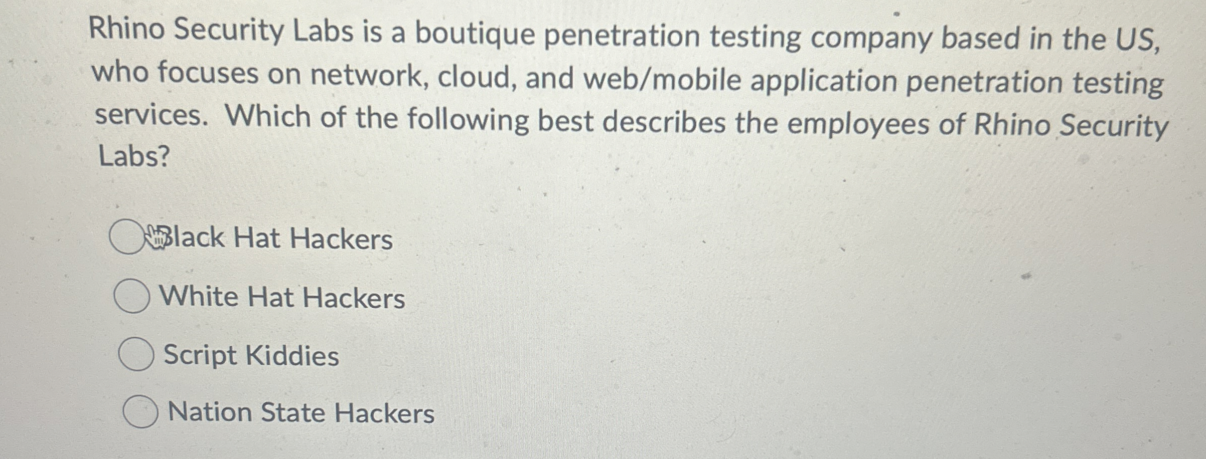 Rhino Security Labs is a boutique penetration