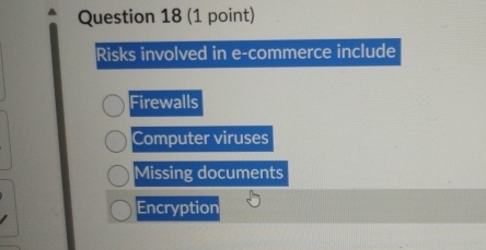 Question 1 8 ( 1 point ) Risks involved in e -