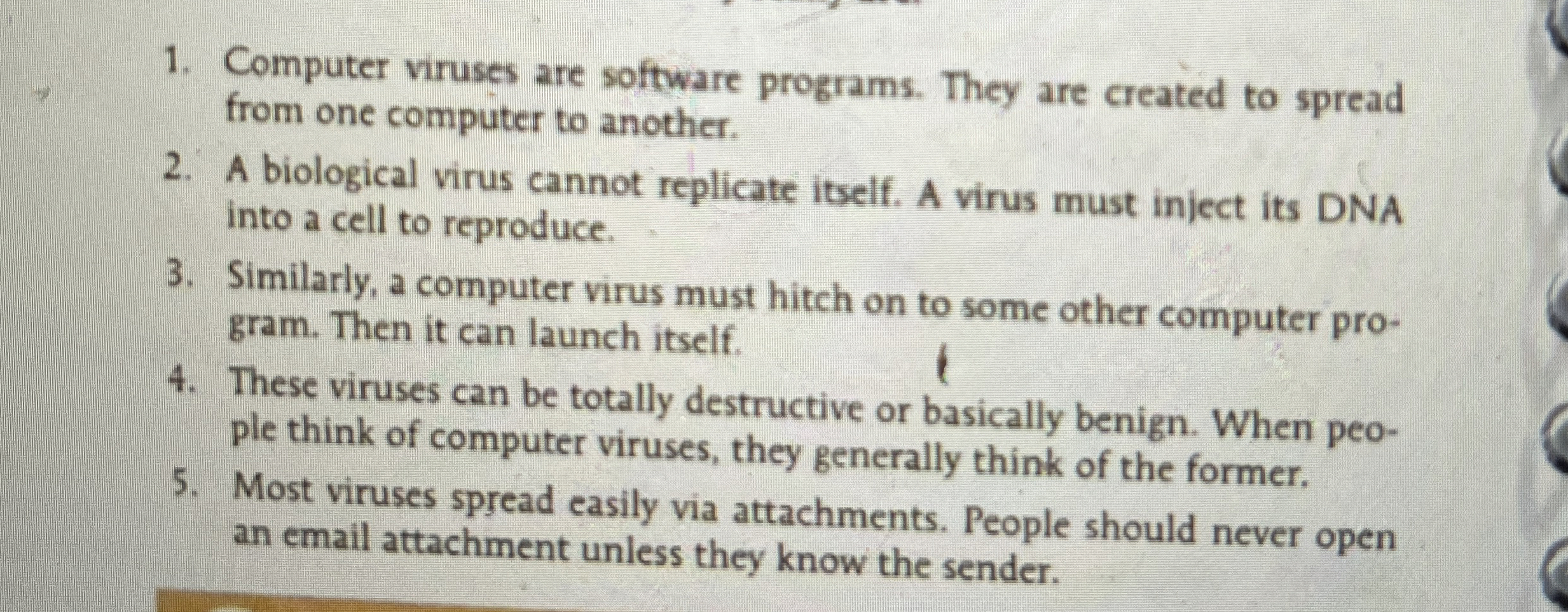 Computer viruses are software programs. They are