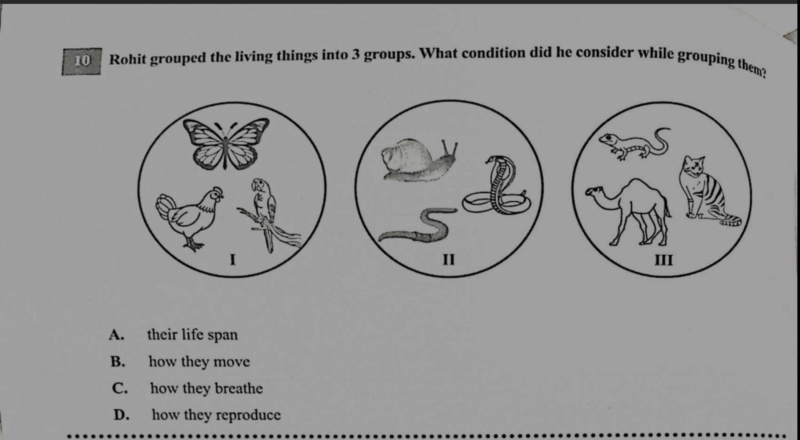 Rohit grouped the living things into 3 groups.