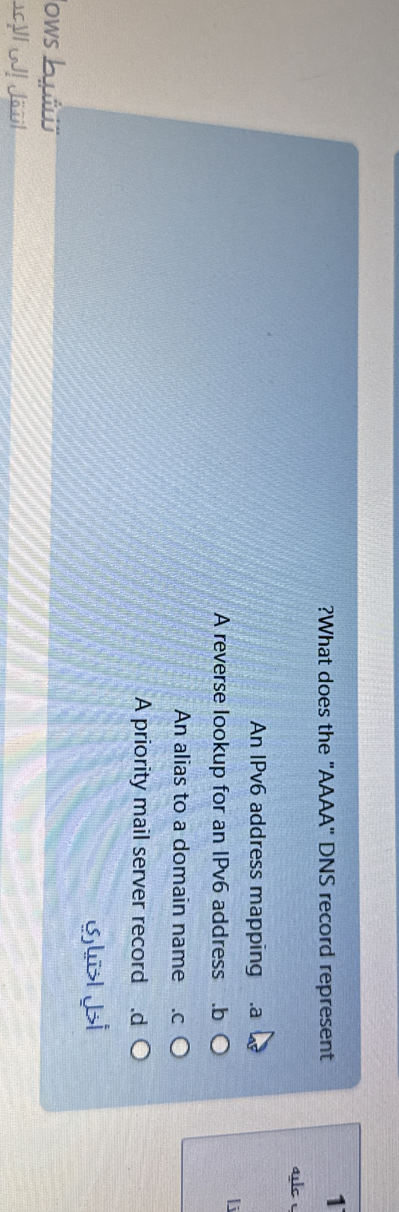 ? What does the "AAAA" DNS record represent An