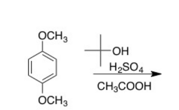 whats the nucleophile