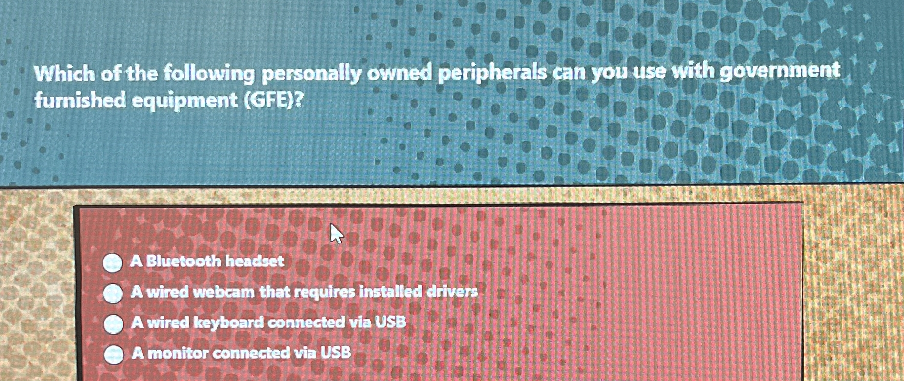 Which of the following personally owned