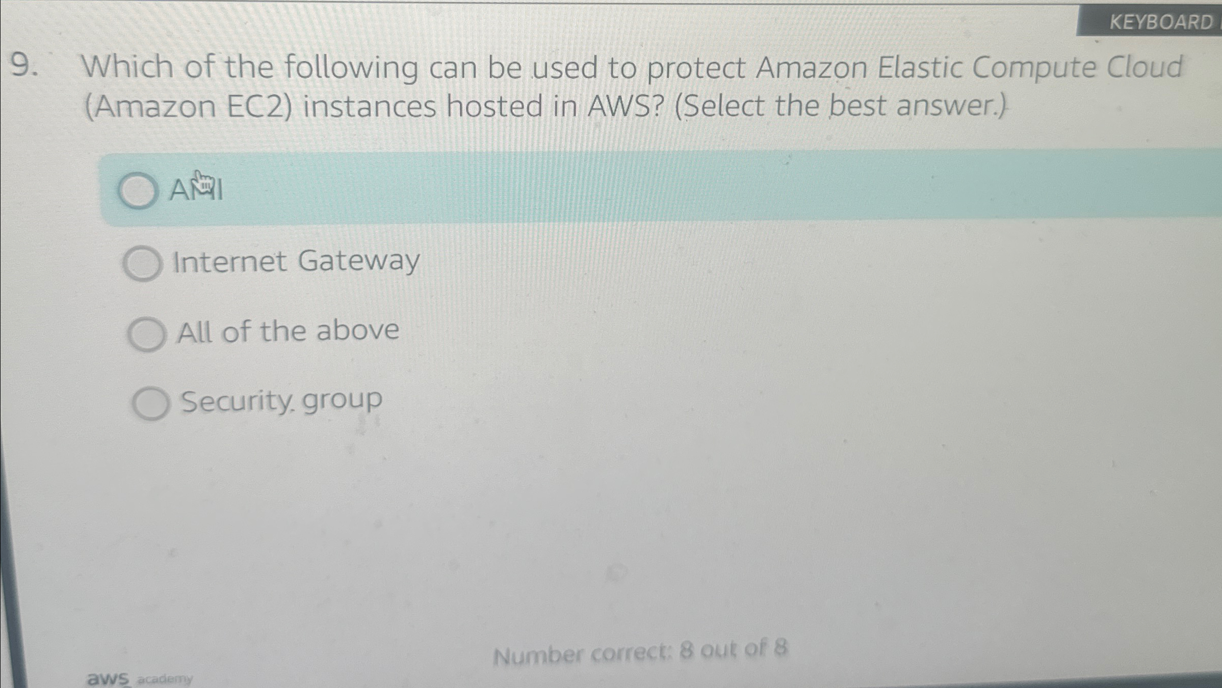 Which of the following can be used to protect