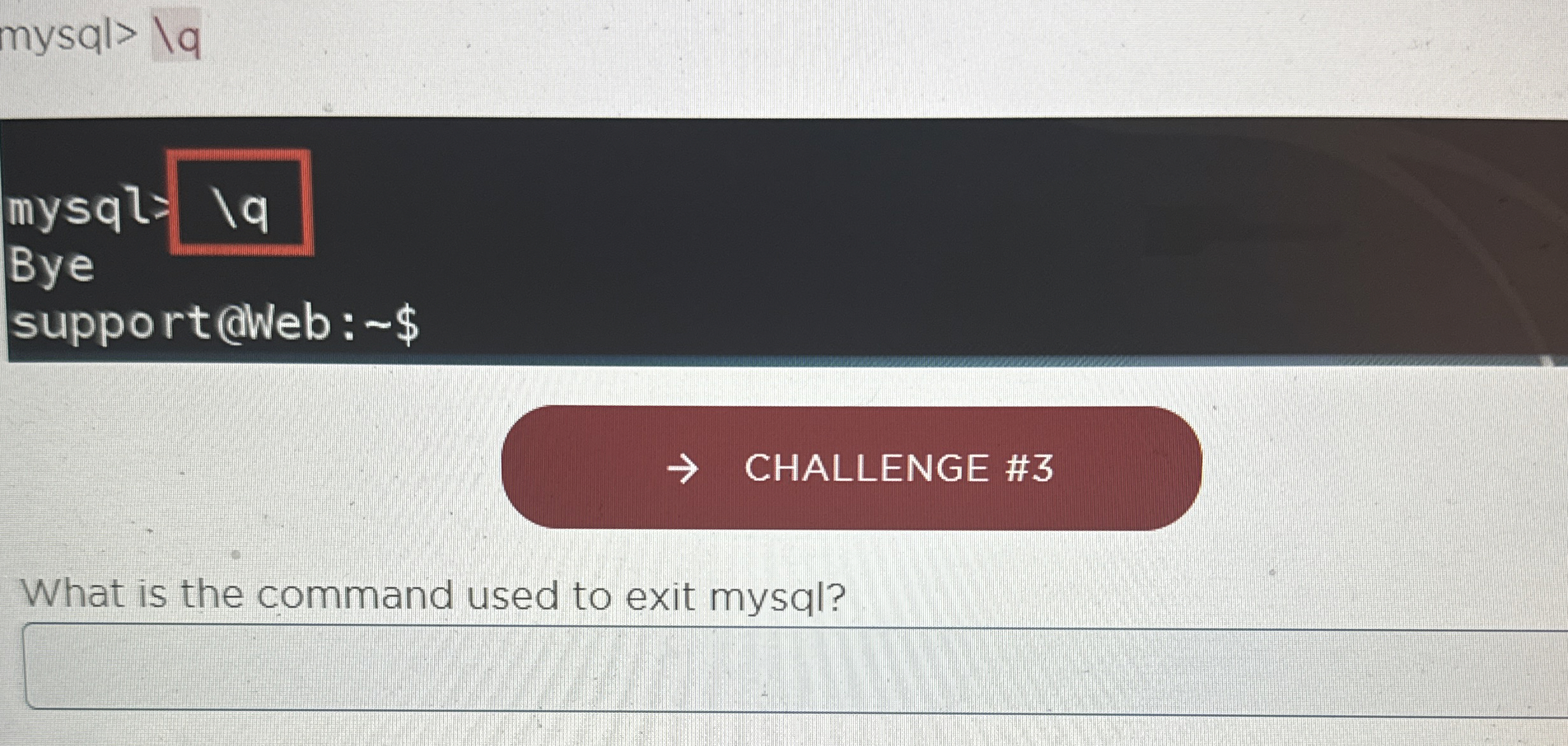 mysql Bye support @Web : $ CHALLENGE # 3 What is