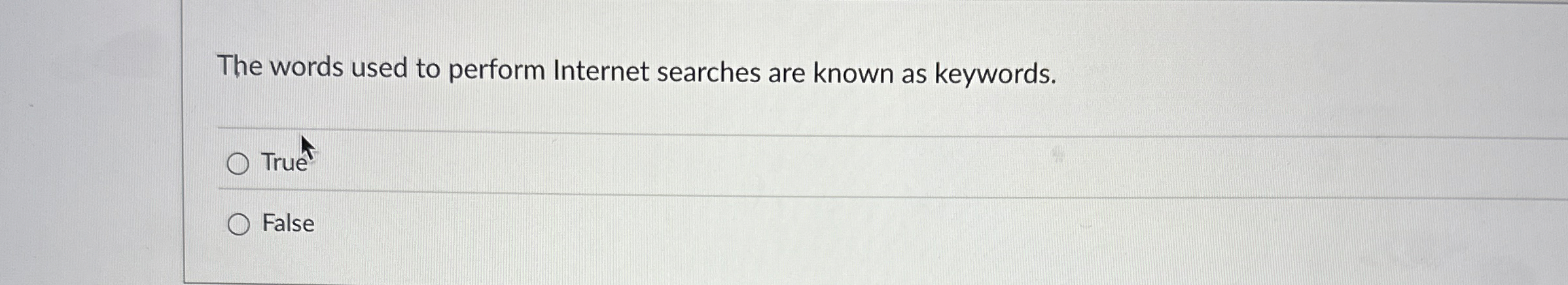 The words used to perform Internet searches are