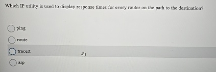 Which IP utility is used to display response