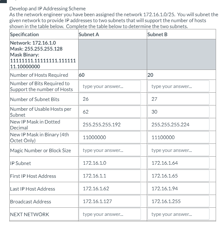 Develop and IP Addressing Scheme As the network