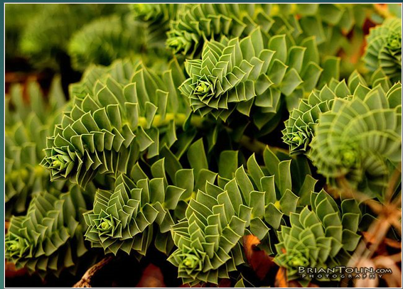 please help with code creation: I am lost and i