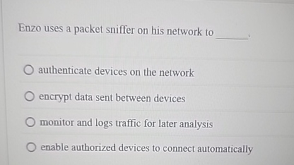 Enzo uses a packet sniffer on his network to q ,