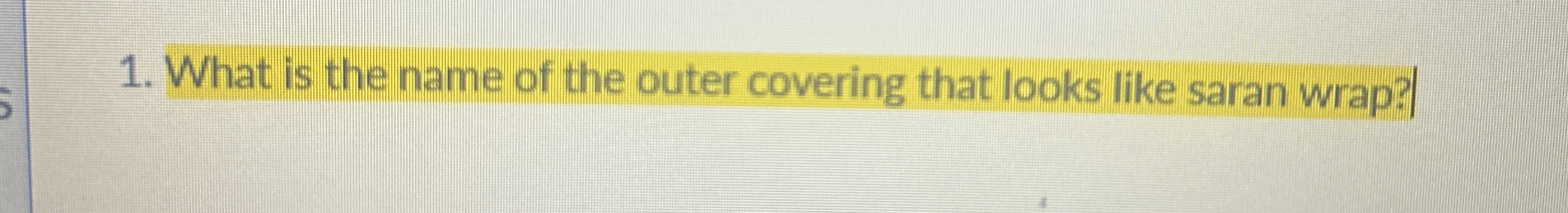 What is the name of the outer covering that looks