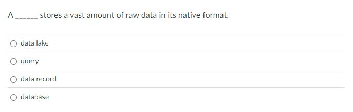 A stores a vast amount of raw data in its native
