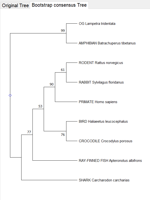 PLEASE ANSWER URGENT 3 b . Bootstrap values are
