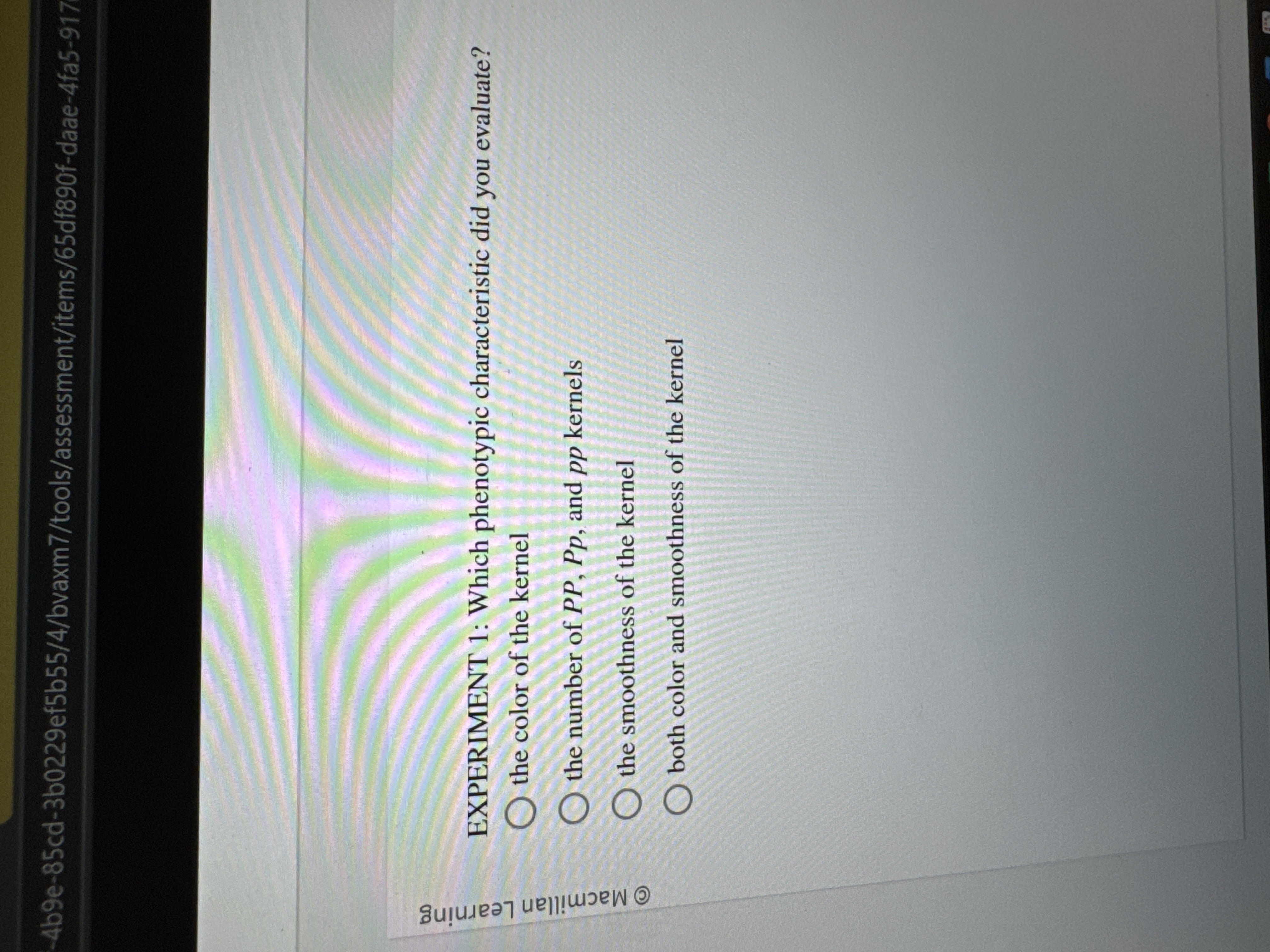 EXPERIMENT 1 : Which phenotypic characteristic