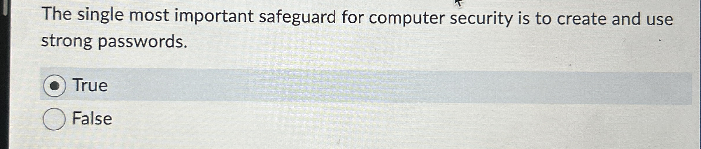 The single most important safeguard for computer