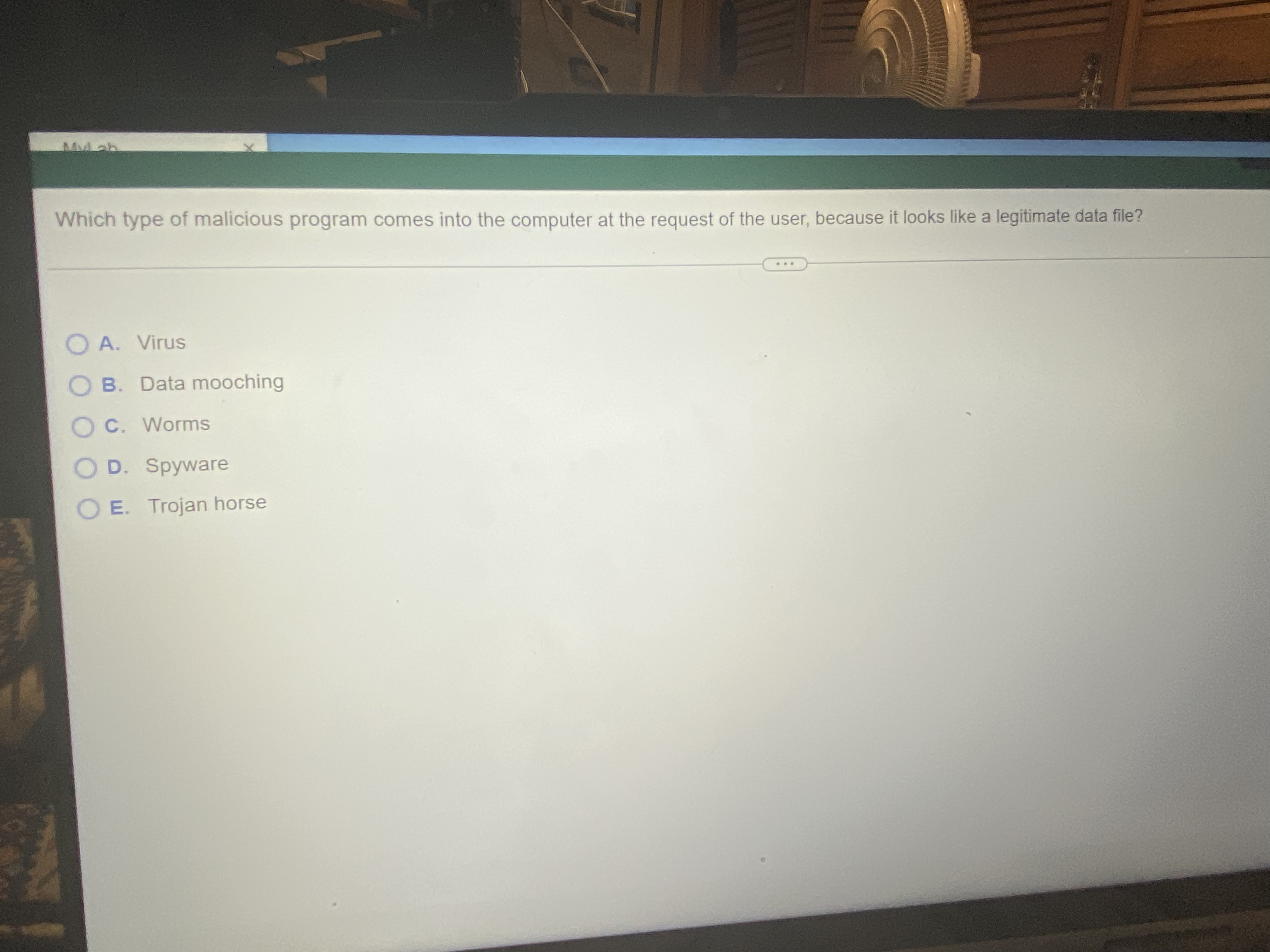 Which type of malicious program comes into the