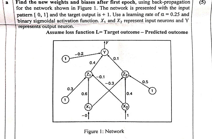 a Find the new weights and biases after first